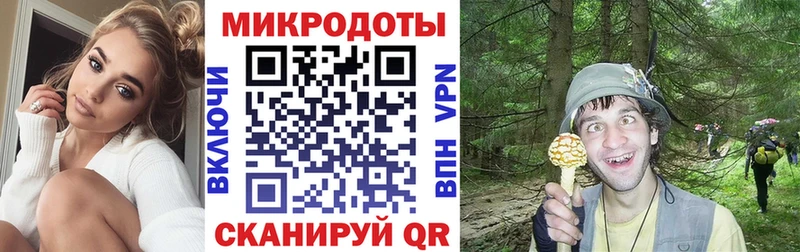 площадка телеграм  Нальчик  Псилоцибиновые грибы прущие грибы 